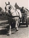Bestandsnaam=A99999_(VRVR1)_@19600000F_@Man-met-paard-en-wagen-onderweg_@Onbekend_@_(09-30-15d_Nb).jpg
Bestandsgrootte=228KiB
Afmetingen = 1441x1873
Datum toegevoegd = 16 apr 2021 A99999_(VRVR1)_@19600000F_@Man-met-paard-en-wagen-onderweg_@Onbekend_@_(09-30-15d_Nb).jpg