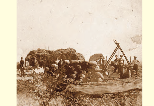 Werinon nr 099