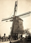 QR 035c
